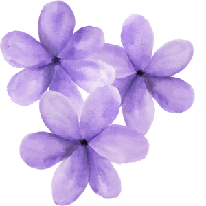 Flores moradas